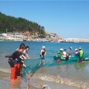 청산도느림보마을 이미지