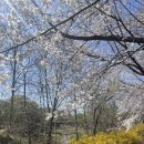 (주)에이엠에이 이미지