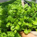 제천시농업기술센터 이미지