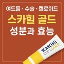 고현약국 이미지
