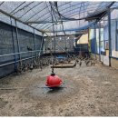 해동농장 이미지