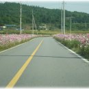 (주)코스모스 이미지