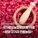 청양환경자원 | 국립농업박물관 학술조사 시리즈 ② | 100년 재배의 역사를 품은 청양 구기자 전통농업 이야기🌿