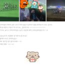 덤프 챌린지 스페셜 편] 2024 쿠팡 플레이 시리즈 토트넘 VS 바이에른 뮌헨, 3등석 B N-M 구역 직관 후기