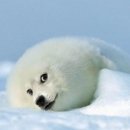 맛있는찌개 이미지