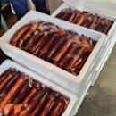 안흥유람선 | 신진항 , 파도와 역사가 공존하는 서해의 숨은 보석!