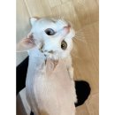 영도동물병원 이미지