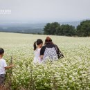 농업회사법인제주오라(유)