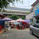 느티나무집 이미지