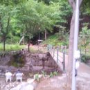 보광농장 이미지