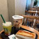 스타벅스 야구 콜라보(베이스볼 매실 그린 티, 베이스볼 미트 칠리 핫도그, 베이스볼 팝콘&amp;프레첼)