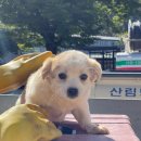 적성면 각기민원센터 이미지