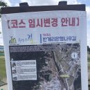 원주굽이길 18코스 반계리은행나무길 | 원주굽이길 18코스. 반계리은행나무길