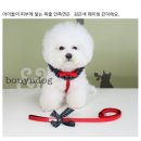 <b>보니앤독</b> 하네스