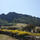 착륙 없이 비행기서 여행"..제주 관광 '새길' 연다 이미지