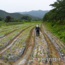 김수창농장 이미지