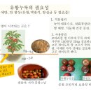 친환경 유황누룩- 토양개량제 만들기 이미지