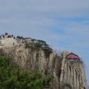 삼봉중앙로 공원 Daum카페