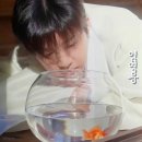 춘하추동 이미지