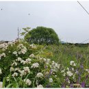 운남1교 이미지