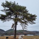 원주굽이길 10코스 천년사지길 티스토리