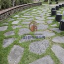 진아조경