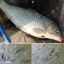 관리낚시터 이미지