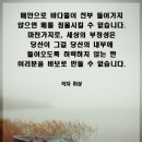 당신이 바로 바보 멍청이 ​ 이미지