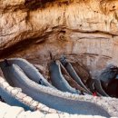 칼즈배드 이미지