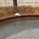 봄비어린이공원 이미지