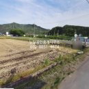 BS부동산공인중개사사무소 이미지