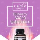 빌베리 이미지