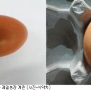 김옥순 농장 아이뉴스24