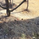 대풍공인중개사사무소 이미지