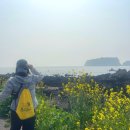 행운세탁소 | 2026 서귀포 유채꽃 걷기대회 10km 후기