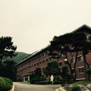 천주섭리수녀회 이미지