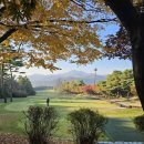 골프존W | 골프존 카운티 안성 wcc 골프존카운티안성w라운딩후기