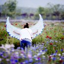 렌즈천사 이미지