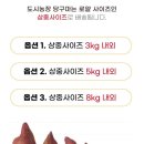 찬스당구 이미지