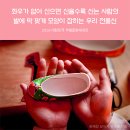 대전신발 이미지