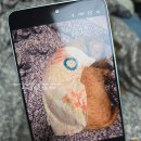 평화광학 | [내돈내산] 갤럭시 S26 울트라 스카이블루 후기｜AI 기능부터 신세계 구매 혜택까지