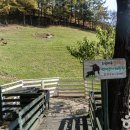 평창듀오애견수영장계곡펜션 이미지