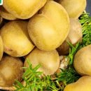 농축농장 이미지