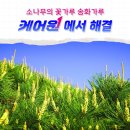 원솔루션 이미지