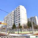 송화 우미 이미지