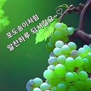 계곡친구