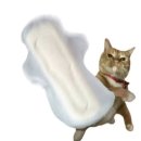 대장부