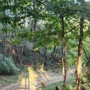 봉산시장 이미지