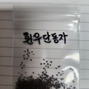 흰색 우단동자 이미지