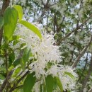 다채로운공간㈜ 이미지